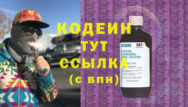 дурь Новодвинск