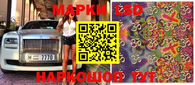 apvp Беслан