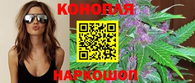 сатива Бийск