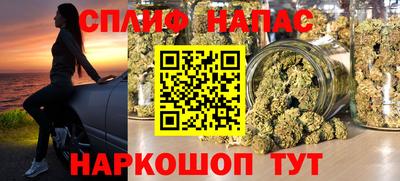 сатива Бийск