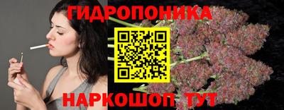 сатива Бийск