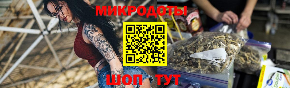 Псилоцибиновые грибы прущие грибы Великий Новгород