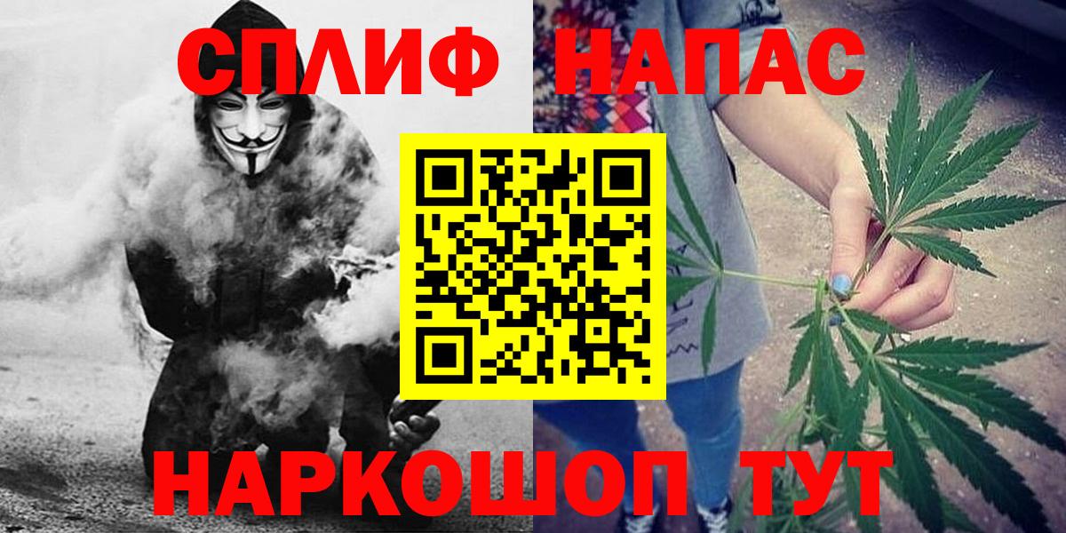 Бошки Шишки план Великий Новгород